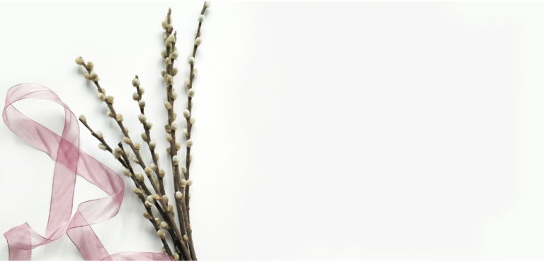 Eyelash Butiq Studio Bandung