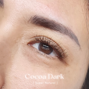 Brown Lashes